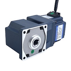 24V 40W 300RPM ギア付き BLDC モーター 0.92Nm(130.07oz.in) 10:1 直角ギアボックス