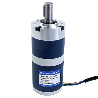24V 200W 100RPM ギア付きブラシレスDCモーター 15.00Nm(2124.17oz.in