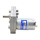 ブラシ付き 12V DC ギアモーター60Kg.cm/3.5RPM w/ 1166:1 角平ギアボックス
