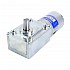 ブラシ付き 24V DC ギアモーター30Kg.cm/12RPM w/ 422:1 スパーギアボックス