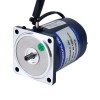 6W 220VAC 50Hz 0.45-6.75RPM 3.00Nm(424.83oz.in) フランジ 60mm 平歯車ボックス 単相 AC 可変速モーター - 2IK6RGN-C/2GN200K | StepperOnline
