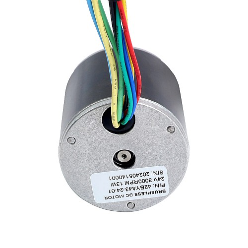 24V 3000RPM 0.04Nm 13W 1.00A Φ42x43mm BLDCモーター - 42BYA43-24-01 | StepperOnline