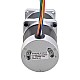 24V 172W 350RPM ギア付きブラシレス DC モーター 4.00Nm(566.45oz.in) 10:1 高精度ギアボックス