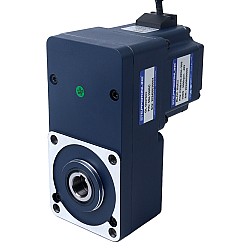 48V 150W 20RPM 50.00Nm(7080.58oz.in) 150:1 ギヤードBLDCモーター平行中空シャフトギアボックス付き