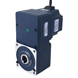 48V 250W 100RPM 20.00Nm(2832.23oz.in) 30:1 ギヤードBLDCモーター平行中空シャフトギアボックス付き