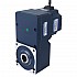 48V 250W 100RPM 20.00Nm(2832.23oz.in) 30:1 ギヤードBLDCモーター平行中空シャフトギアボックス付き