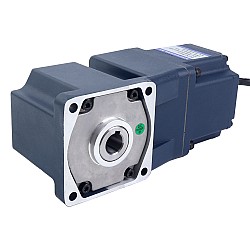 24V 150W 300RPM ギア付き BLDC モーター 3.41Nm(483.00oz.in) 10:1 直角ギアボックス