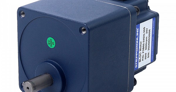 ブラシレスDCモーター f5b60-24gn-30s-5gn3k-1-5-