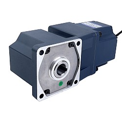 48V 200W 60RPM ギア付き BLDC モーター 21.27Nm(3012.51oz.in) 50:1 直角ギアボックス