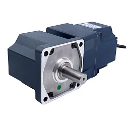 48V 250W 150RPM ギア付き BLDC モーター 11.81Nm(1672.00oz.in) 20:1 直角ギアボックス