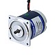 ブラシ付き 24V 10W 2.09Nm(295.97oz.in) 30RPM 100:1 スパーギアボックス DC ギアモーター付き - F2D10-24GN-30S/2GN100K | StepperOnline