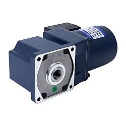 25W 220VAC/380VAC 50/60Hz 45RPM 3.90Nm(552.29oz.in) フランジ 80mm ライトアングルギアボックス中空軸三相AC誘導モーター